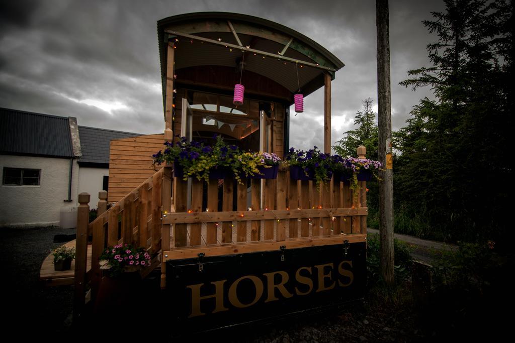 فيلا Kilfenoraفي Burren Glamping المظهر الخارجي الصورة